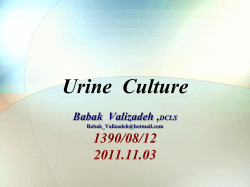 Urine  Culture 1390/08/12 2011.11.03