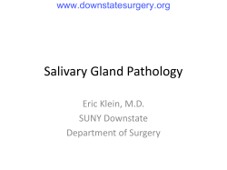Salivary Gland Pathology Eric Klein, M.D. SUNY Downstate Department of Surgery
