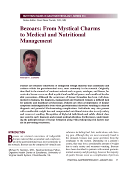 Bezoars: From Mystical Charms to Medical and Nutritional Management