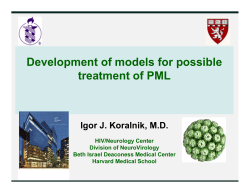 Development of models for possible treatment of PML Igor J. Koralnik, M.D.