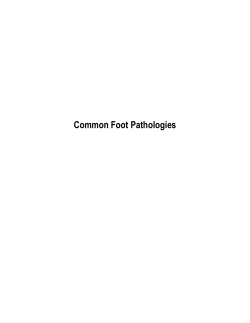 Common Foot Pathologies