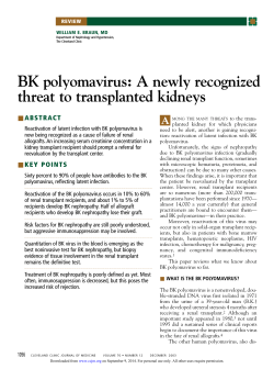 BK polyomavirus: A newly recognized threat to transplanted kidneys A ■