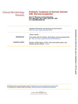 Borrelia burgdorferi Antibiotic Treatment of Animals Infected with