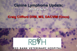 Canine Lymphoma Update: Craig Clifford DVM, MS, DACVIM (Onco) What’s New?