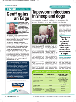 Geoff gains an Edge livestock COUNTER