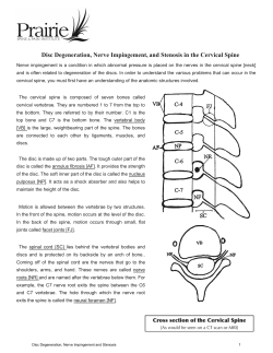 Disc Degeneration, Nerve Impingement, and Stenosis in the Cervical Spine