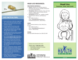 Head Lice HEAD LICE RESOURCES: Examine, Treat, and Comb