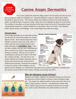 Canine Atopic Dermatitis