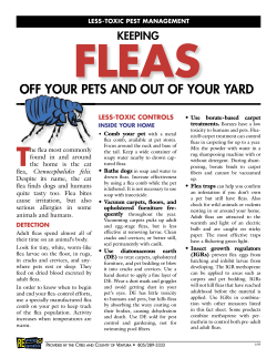 T OFF YOUR PETS AND OUT OF YOUR YARD KEEPING