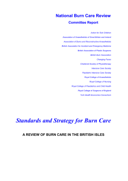 National Burn Care Review Committee Report