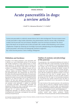 Acute pancreatitis in dogs: a review article I. Kalli K. Adamama-Moraitou