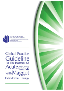 1 CLINICAL PRACTICE GUIDELINE FOR THE TREATMENT OF ACUTE AND CHRONIC WOUNDS... MAGGOT THERAPY