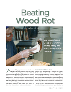 Beating Wood Rot W Use borate-based