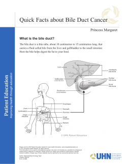 Quick Facts about Bile Duct Cancer Princess Margaret