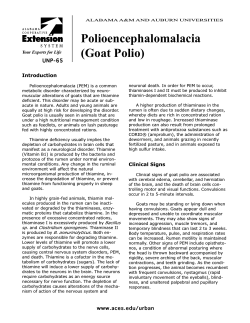 Polioencephalomalacia (Goat Polio) UNP-65 Introduction