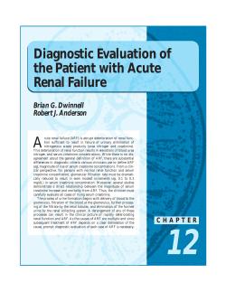 A Diagnostic Evaluation of the Patient with Acute Renal Failure