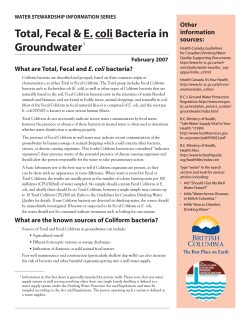 Total, Fecal &amp; E. coli Bacteria in Groundwater  Other
