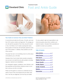 Foot and Ankle Guide Treatment Guide