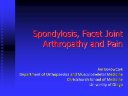 Spondylosis, Facet Joint