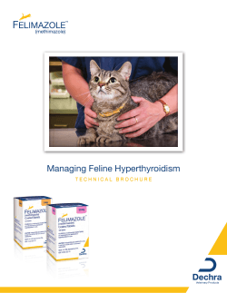 Managing Feline Hyperthyroidism