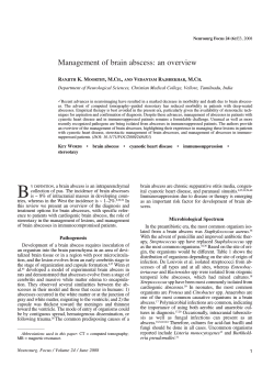 Management of brain abscess: an overview