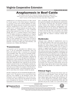 Anaplasmosis is an infectious disease of cattle caused Anaplasma publication 400-465