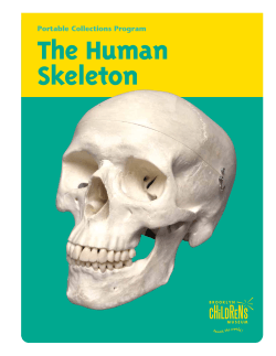 The Human Skeleton Portable Collections Program