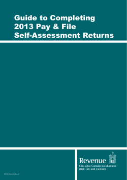 Guide to Completing 2013 Pay &amp; File Self-Assessment Returns
