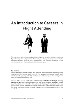An Introduction to Careers in Flight Attending