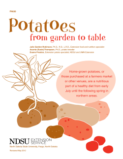Potatoes  from garden to table