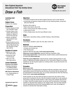 Draw a Fish New England Aquarium Educational Field Trip Activity Series Learning Level