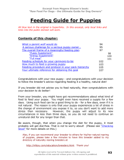 Feeding Guide for Puppies