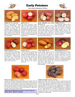 Early Potatoes  Short Season Maturing 60 - 80 Days