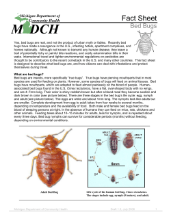 M  DCH Fact Sheet Bed Bugs Michigan Department of
