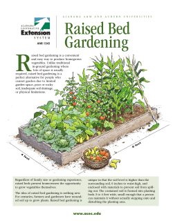 R  Raised Bed Gardening
