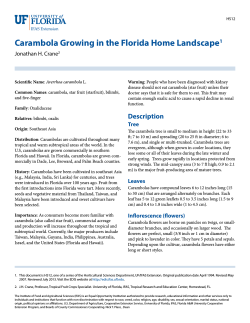 Carambola Growing in the Florida Home Landscape Jonathan H. Crane 1