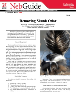 Removing Skunk Odor Know how. Know . now