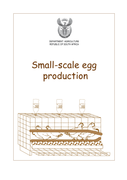 Small-scale egg production DEPARTMENT: AGRICULTURE REPUBLIC OF SOUTH AFRICA