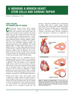 6. MenDing a Broken Heart: steM Cells anD CarDiaC repair Heart Failure: