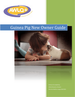 Guinea Pig New Owner Guide Written &amp; Complied by AWLQ Education Division