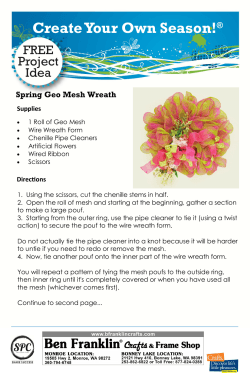 Create Your Own Season!  ® Spring Geo Mesh Wreath