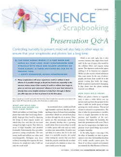 SCIENCE Scrapbooking Preservation Q&amp;A of