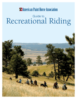 Recreational Riding American Paint Horse Association’s Guide to TTEN