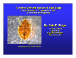 A Home Owners Guide to Bed Bugs Dr. Gale E. Ridge Cimex lectularis