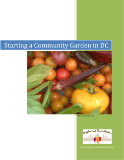 Starting a Community Garden in DC www.neighborhoodfarminitiative.org Photo Credit: Bea Trickett