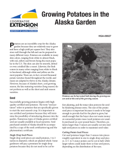 Growing Potatoes in the Alaska Garden P