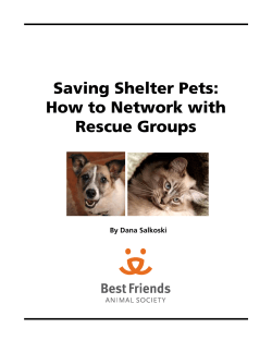 Saving Shelter Pets: How to Network with Rescue Groups By Dana Salkoski