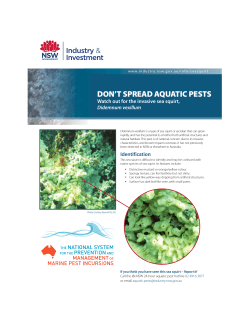 DON’T SPREAD AQUATIC PESTS Watch out for the invasive sea squirt,