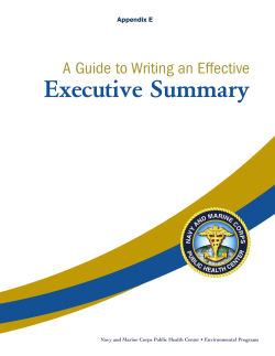 Executive Summary A Guide to Writing an Effective  Appendix E