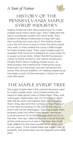 A Taste of Nature HISTORY OF THE PENNSYLVANIA MAPLE SYRUP INDUSTRY